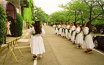 Hula troupe