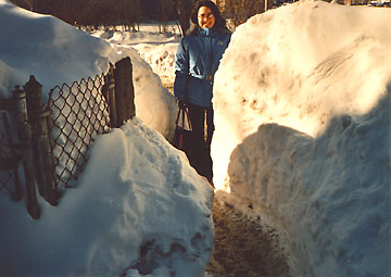 Path through snow