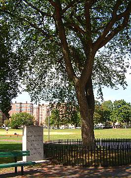 Washington monument