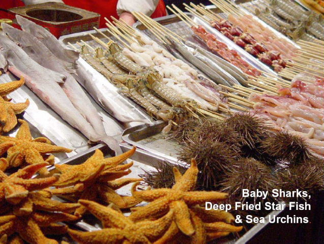 Baby sharks, deep-fried star fish and sea urchins