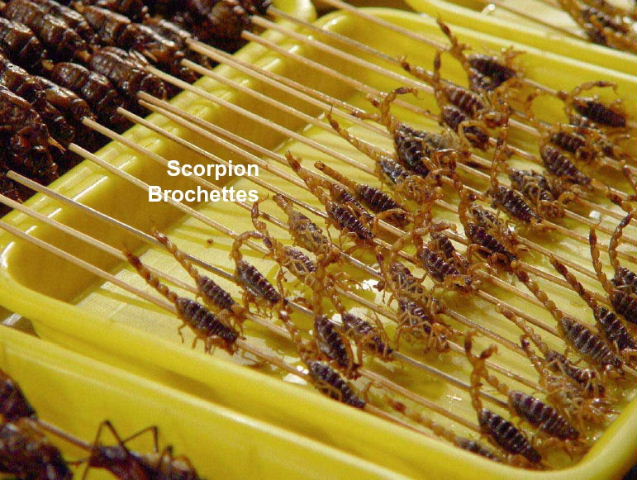 Scorpion brochettes