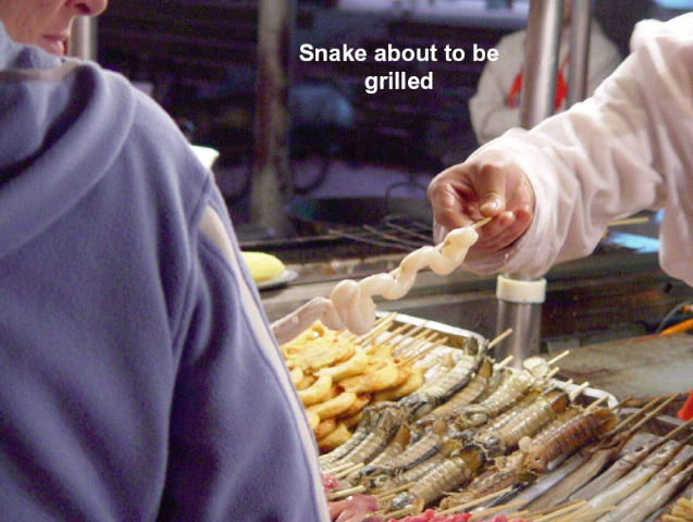 Snake about to be grilled